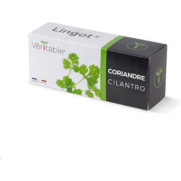 Véritable Lingot Koriandr