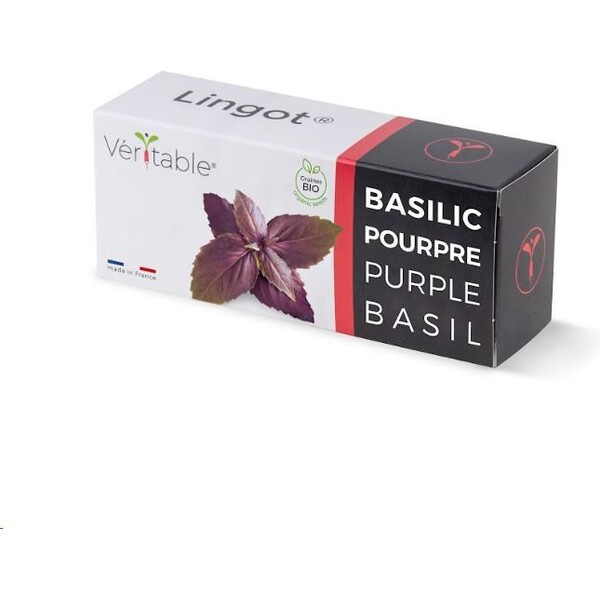Véritable Lingot Fialová bazalka BIO