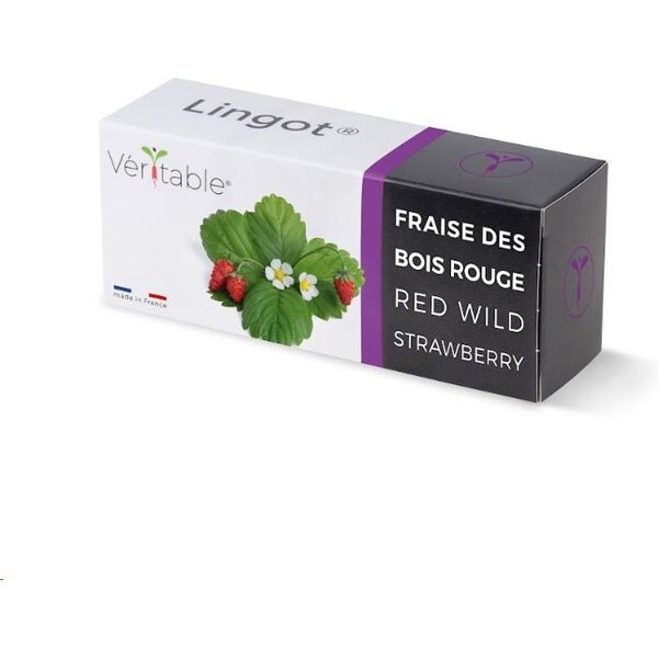 Véritable Lingot Divoké červené jahody
