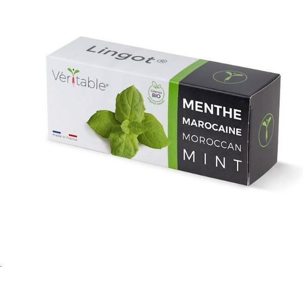 Véritable Lingot Marocká máta BIO