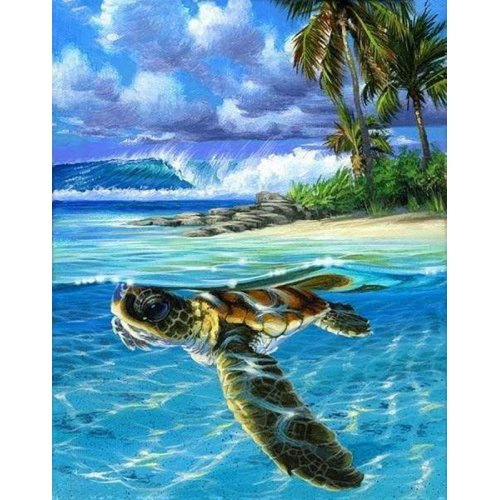Figured ART Malování podle čísel - ŽELVA PLAVE V MOŘI bez rámu 40 x 50 cm
