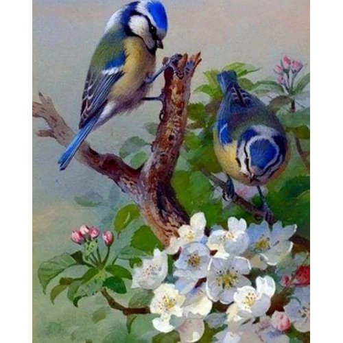 Figured ART Diamantové malování - PTÁCI NA VĚTVI bez rámu 40 x 50 cm