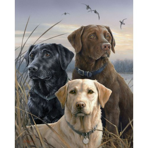 Figured ART Malování podle čísel - TŘI LABRADOŘI  na rámu 40 x 50 cm