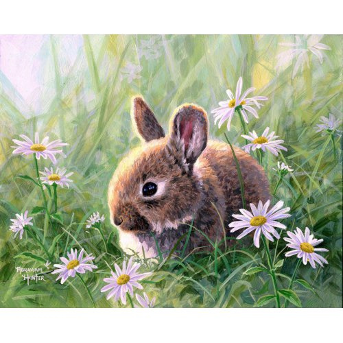 Figured ART Malování podle čísel - KRÁLÍK V SEDMIKRÁSKÁCH  na rámu 40 x 50 cm