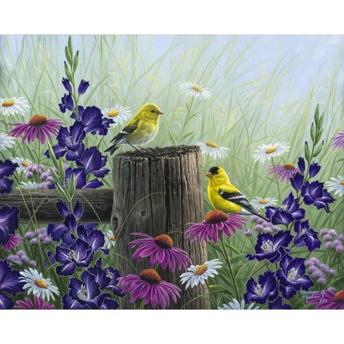 Figured ART Malování podle čísel - ZLATOHLAVÍ PTÁCI  na rámu 40 x 50 cm