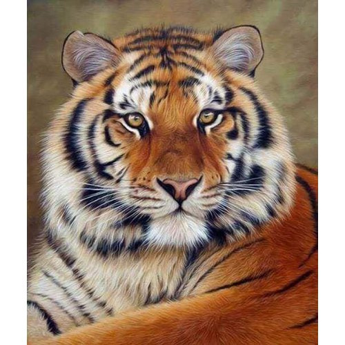 Figured ART Diamantové malování - TYGŘÍ OKO na rámu 40 x 50 cm