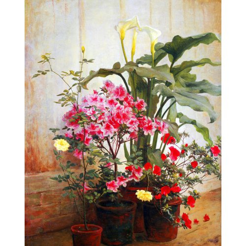 Figured ART Diamantové malování - SIDE OF A GREENHOUSE,  Cochran bez rámu 40 x 50 cm