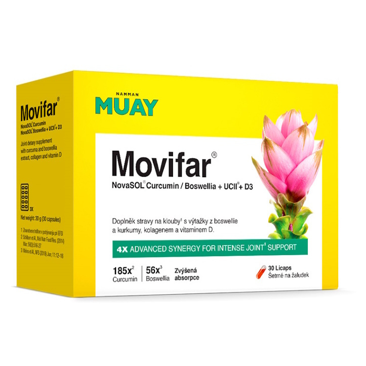 Namman Muay Movifar