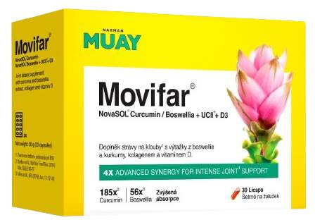 Namman Muay Movifar