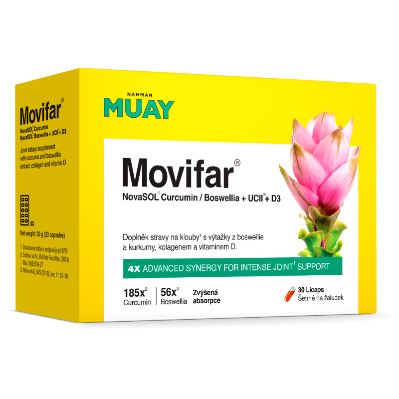 Namman Muay Movifar