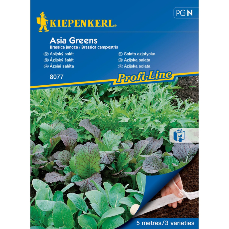 Kiepenkerl Semínka Asijské saláty