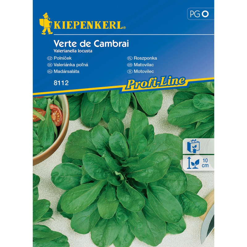 Kiepenkerl Polníček Verte de Cambrai