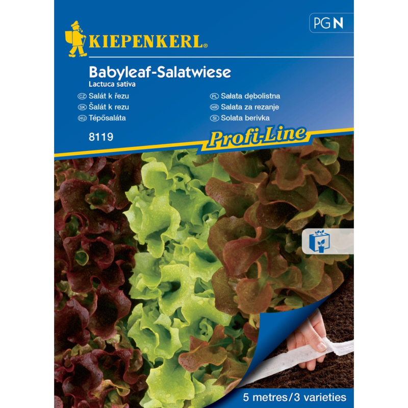 KIEPENKERL Listový salát (Lactuca sativa) Loka, Vili, Kyrio