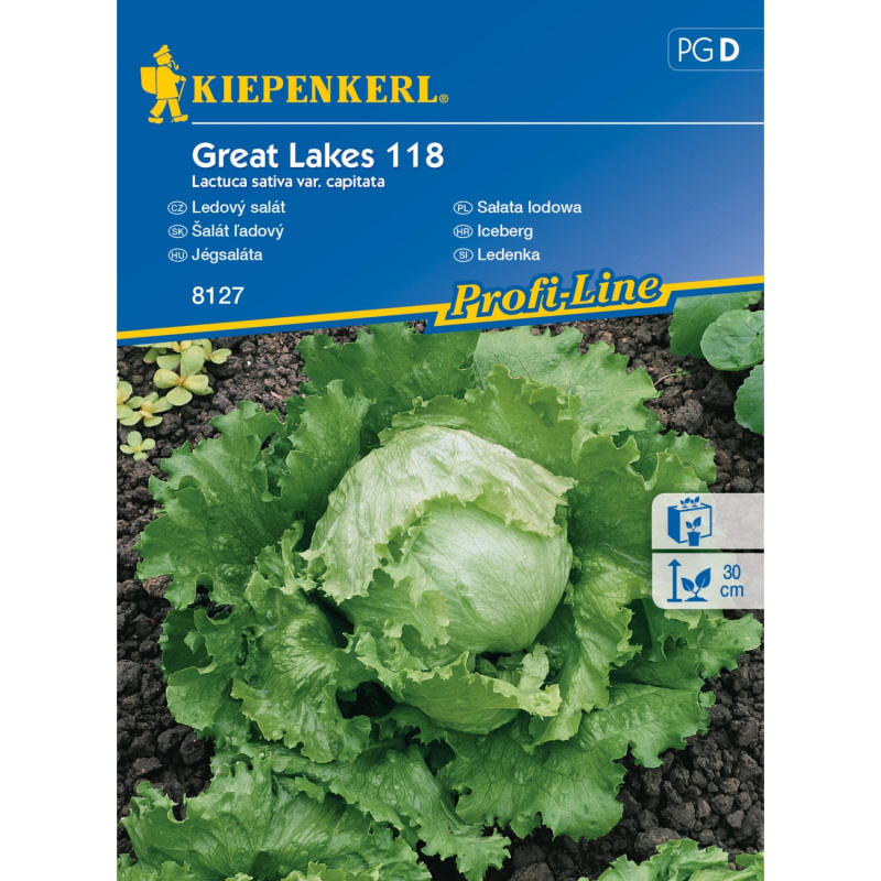 KIEPENKERL Ledový salát (Lactuca sativa var.capitata) Great Lakes 118