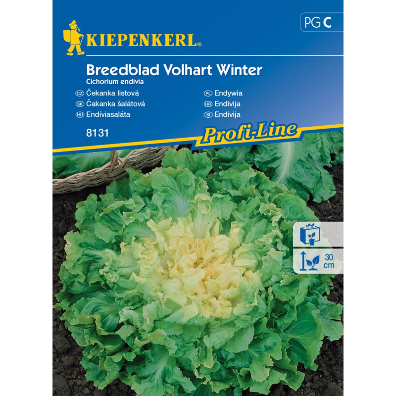 Kiepenkerl Semínka Čekanka listová Breedblad Volh