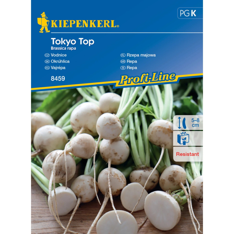 KIEPENKERL Vodnice (Brassica rape) Tokyo Top, F1