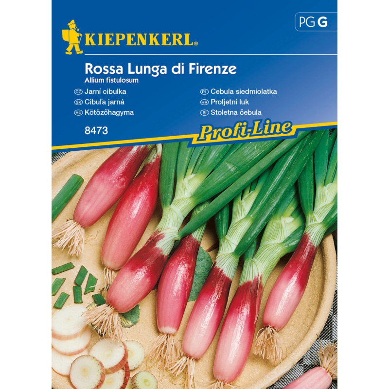 Kiepenkerl Jarní cibulka Rossa Lunga di Firenze