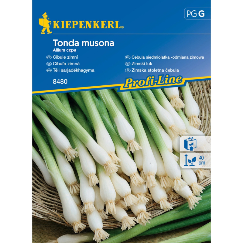KIEPENKERL Cibule zimní (Allium cepa) Tonda musona
