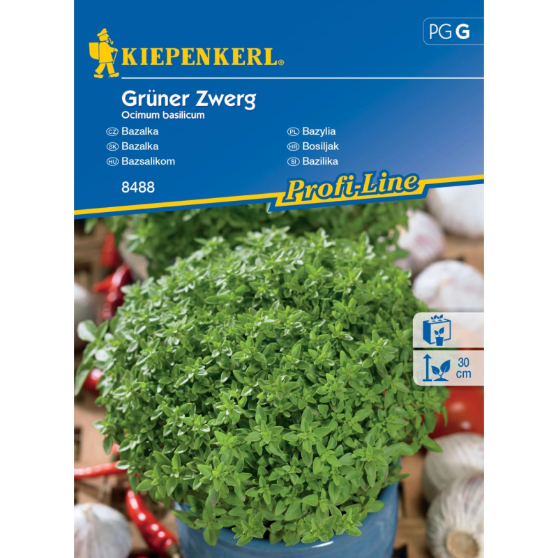 Kiepenkerl Semínka Bazalka Grüner Zwerg