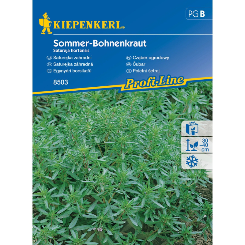 Kiepenkerl Semínka Saturejka zahradní jednoletá