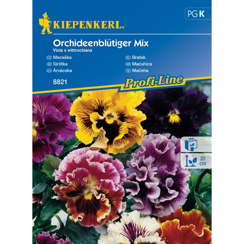 Kiepenkerl Semínka Maceška Orchideenblütiger mix