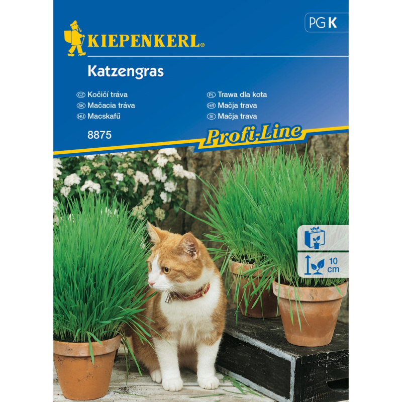 KIEPENKERL Kočičí tráva