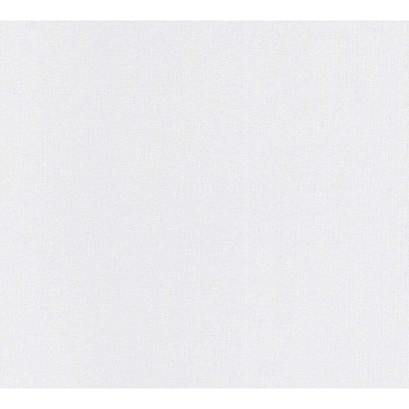 A. S. Creation Přetíratelná vliesová tapeta Meistervlies Creativ bílá 248312