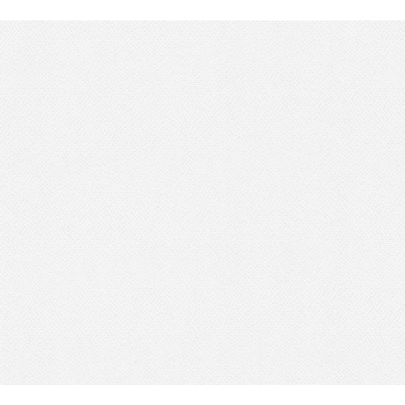 A. S. Creation Přetíratelná vliesová tapeta Meistervlies Creativ bílá 306616