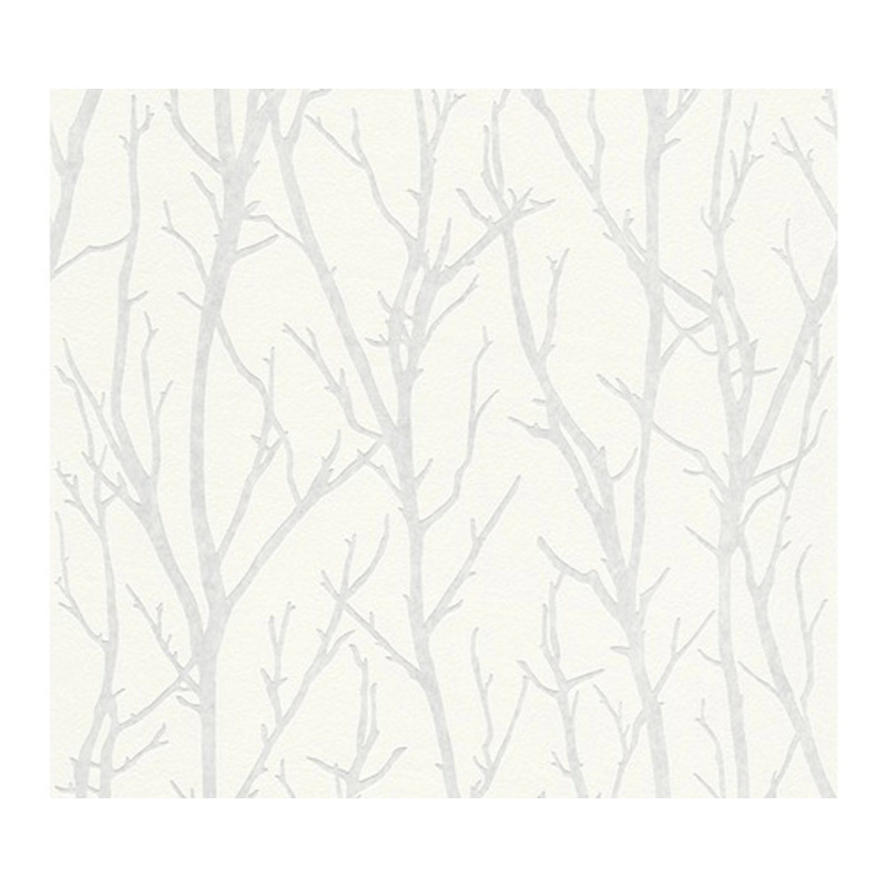 A. S. Creation Přetíratelná vliesová tapeta Meistervlies Creativ bílá 321015