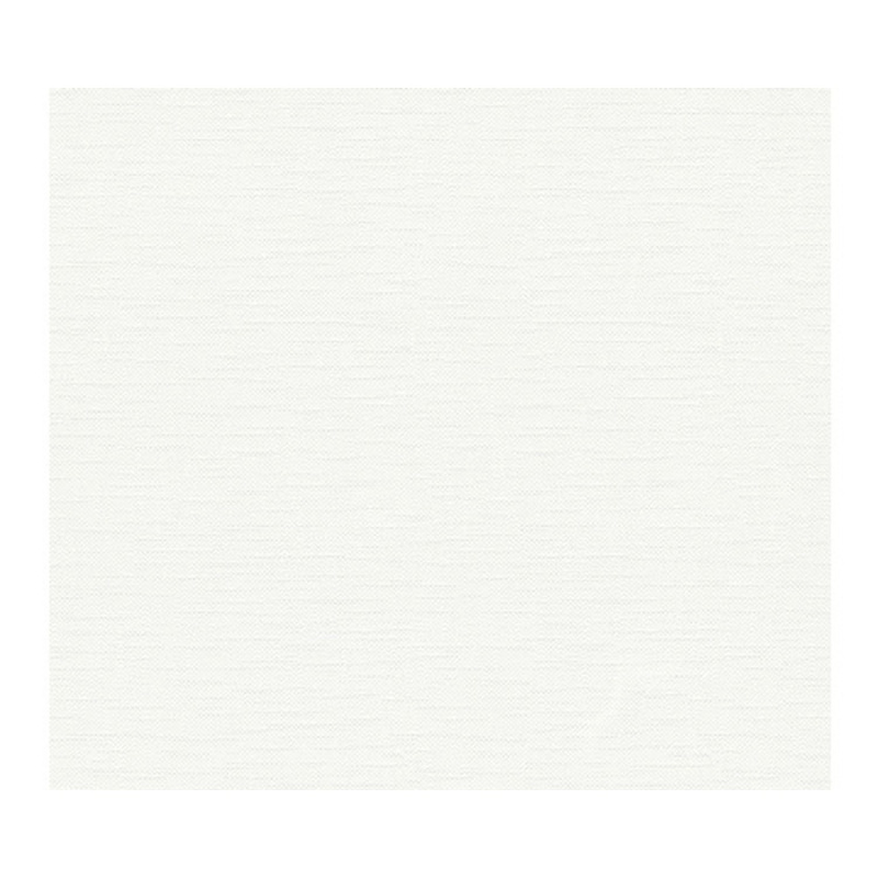 A. S. Creation Přetíratelná vliesová tapeta Meistervlies Creativ bílá 323613