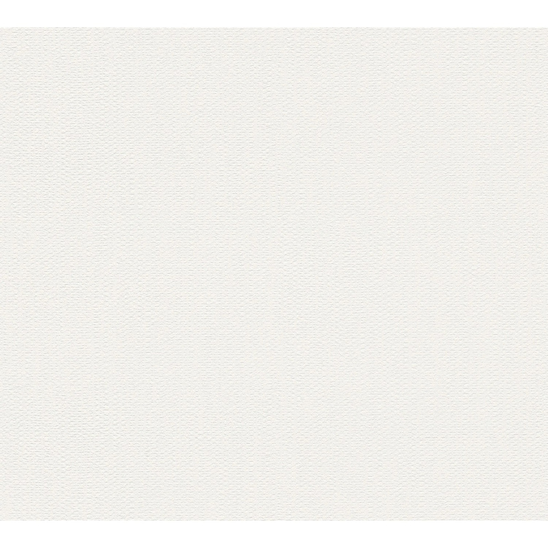 A. S. Creation Přetíratelná vliesová tapeta Meistervlies Creativ bílá 389909