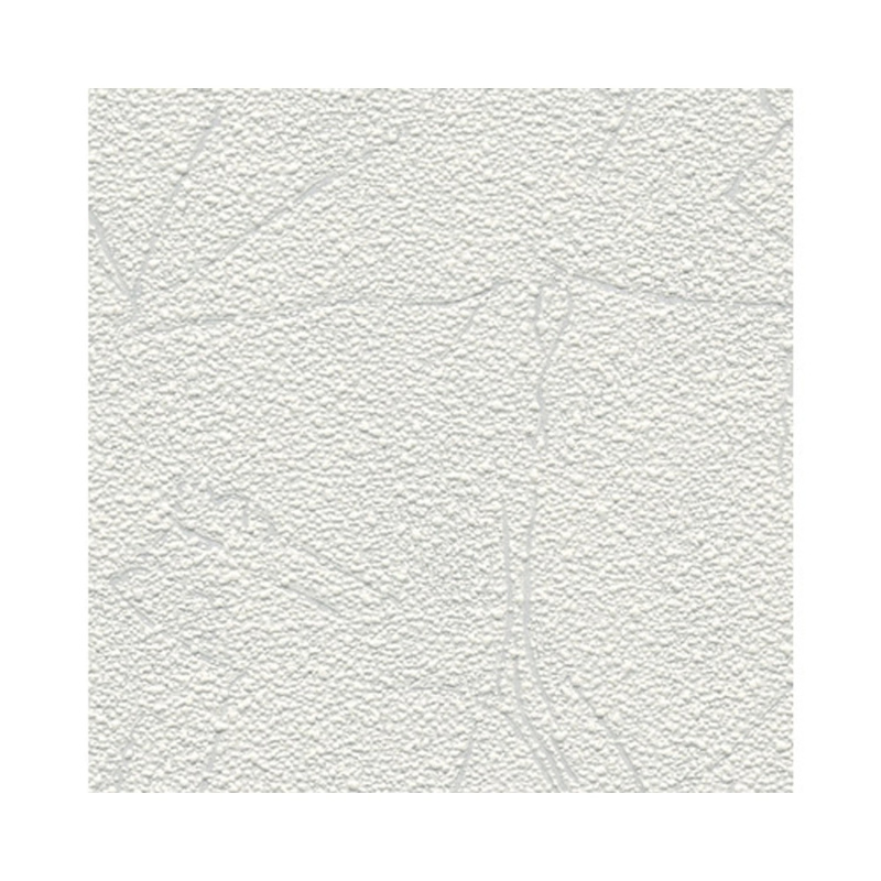 A. S. Creation Přetíratelná vliesová tapeta Meistervlies Creativ bílá 571212