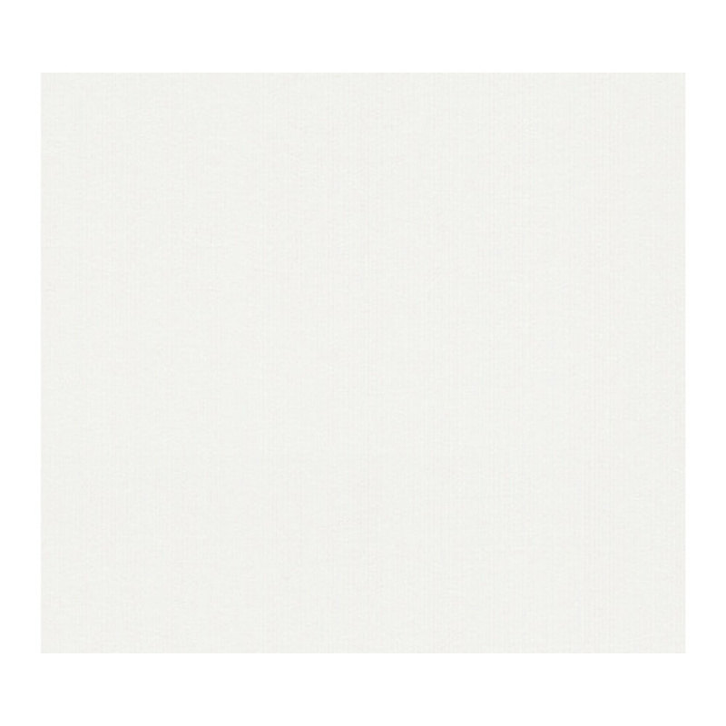 A. S. Creation Přetíratelná vliesová tapeta Meistervlies Creativ bílá 927514