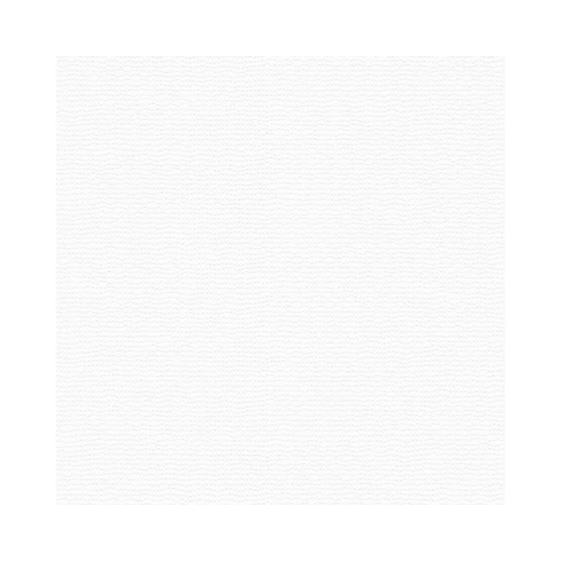 A. S. Creation Přetíratelná vliesová tapeta Meistervlies Creativ bílá 961310