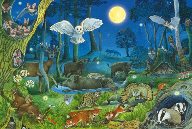 Puzzle Lesní Zvířátka v Noci 100 Dílků