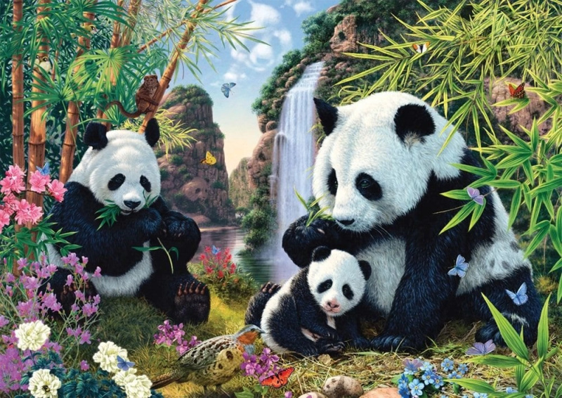 Schmidt Pandafamilie am Wasserfall 500 dílků