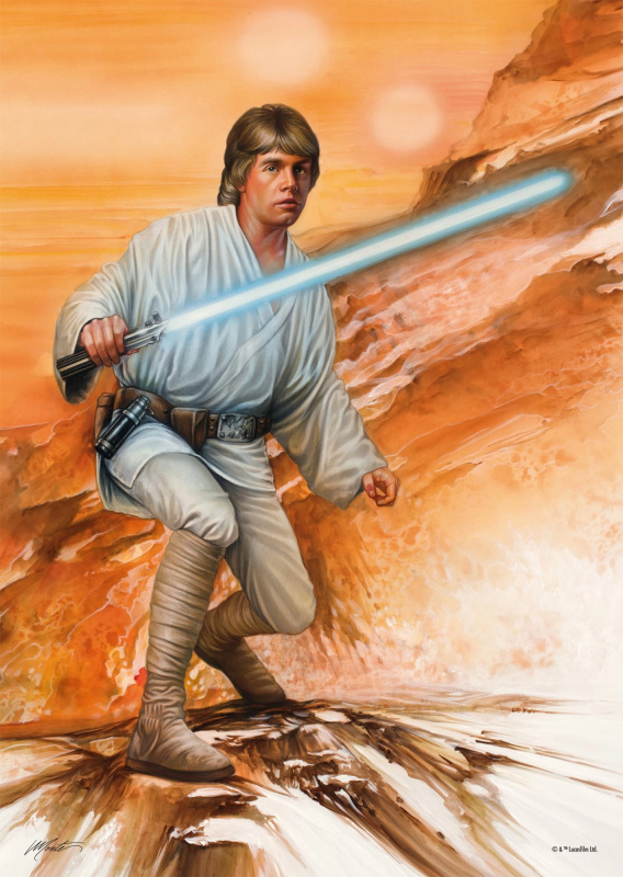 Schmidt Star Wars: Fearless 1000 dílků
