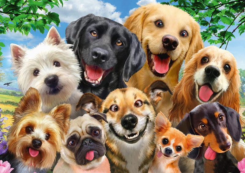Schmidt Psí selfie 500 dílků