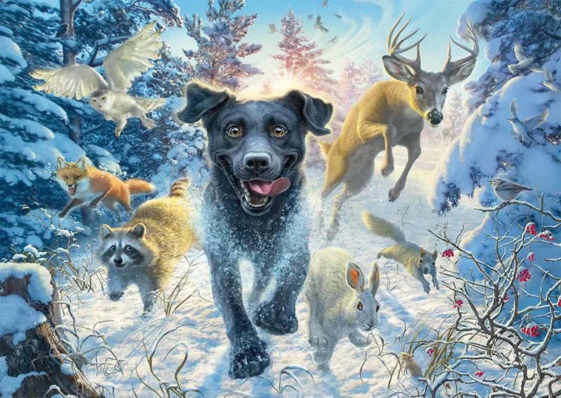Puzzle Černý labrador ve sněhu 1000 dílků