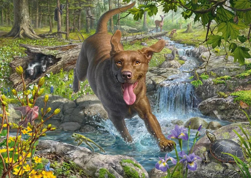 Puzzle zlatý retrívr v jarní přírodě 1000 dílků
