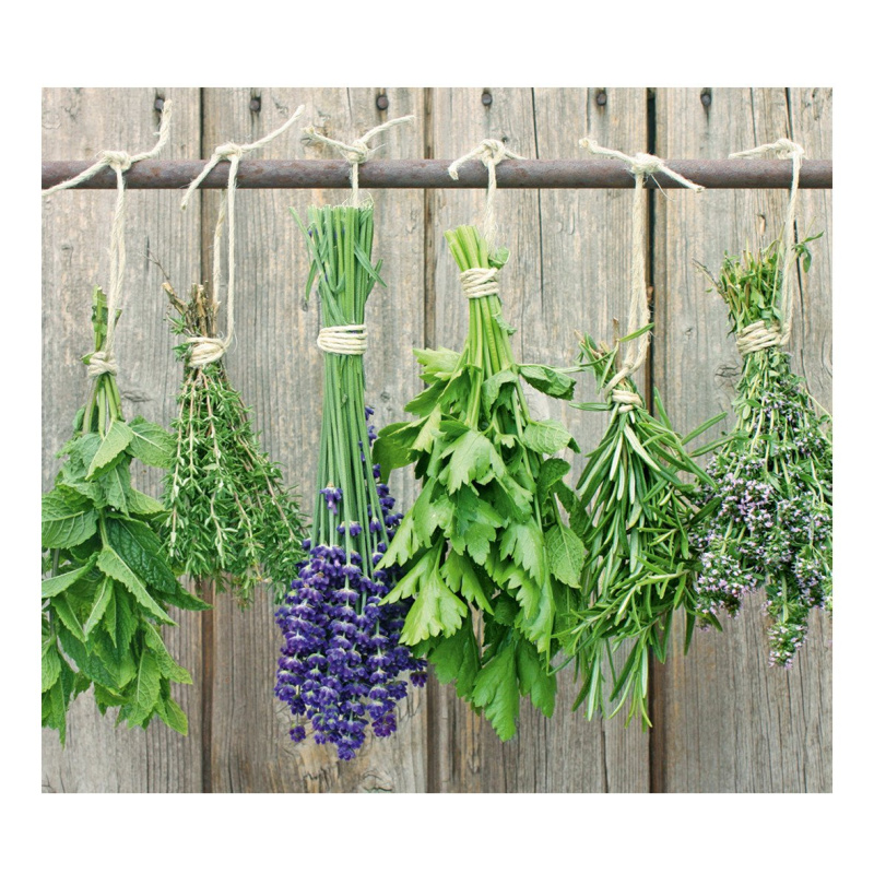 Ochranný skleněný panel na sporák LAVENDER, 56 x 50 cm, ZELLER 26301 vícebarevná
