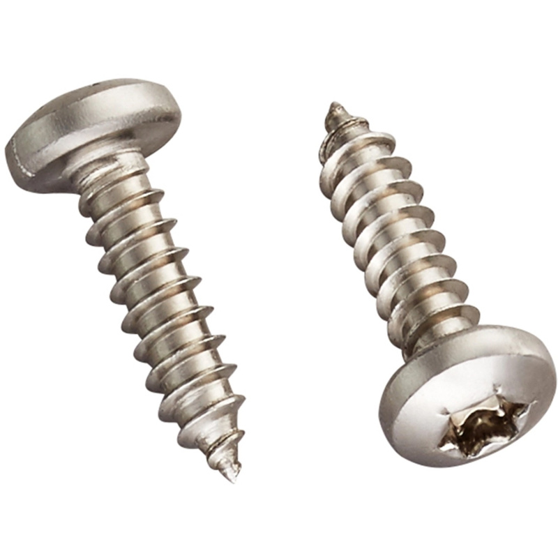 Guttagliss Šrouby V2A pro U-profil, 20 ks