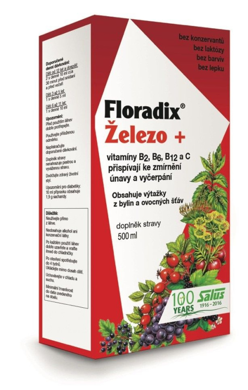SALUS Floradix železo+ sirup 500 ml