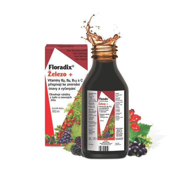 SALUS Floradix železo+ sirup 500 ml