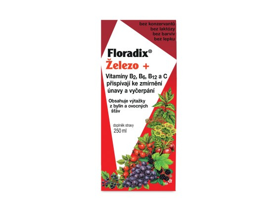 Salus Floradix 250ml