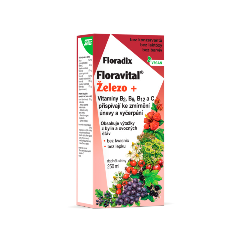 SALUS Floradix floravital železo+ sirup 250 ml
