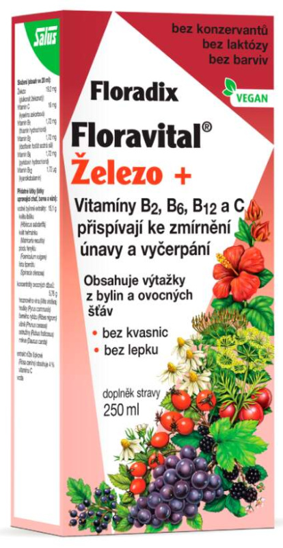 SALUS Floradix floravital železo+ sirup 250 ml