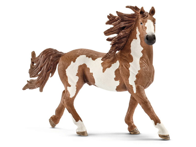 Schleich Zvířátko - hřebec Pinto