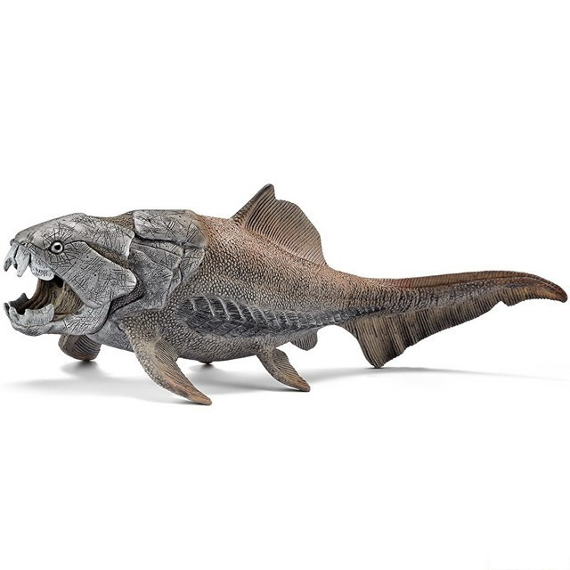 Prehistorické zvířátko - Dunkleosteus
