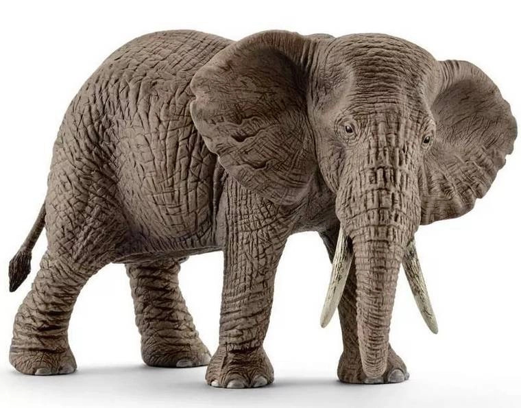 Schleich 14761 Samice slona afrického